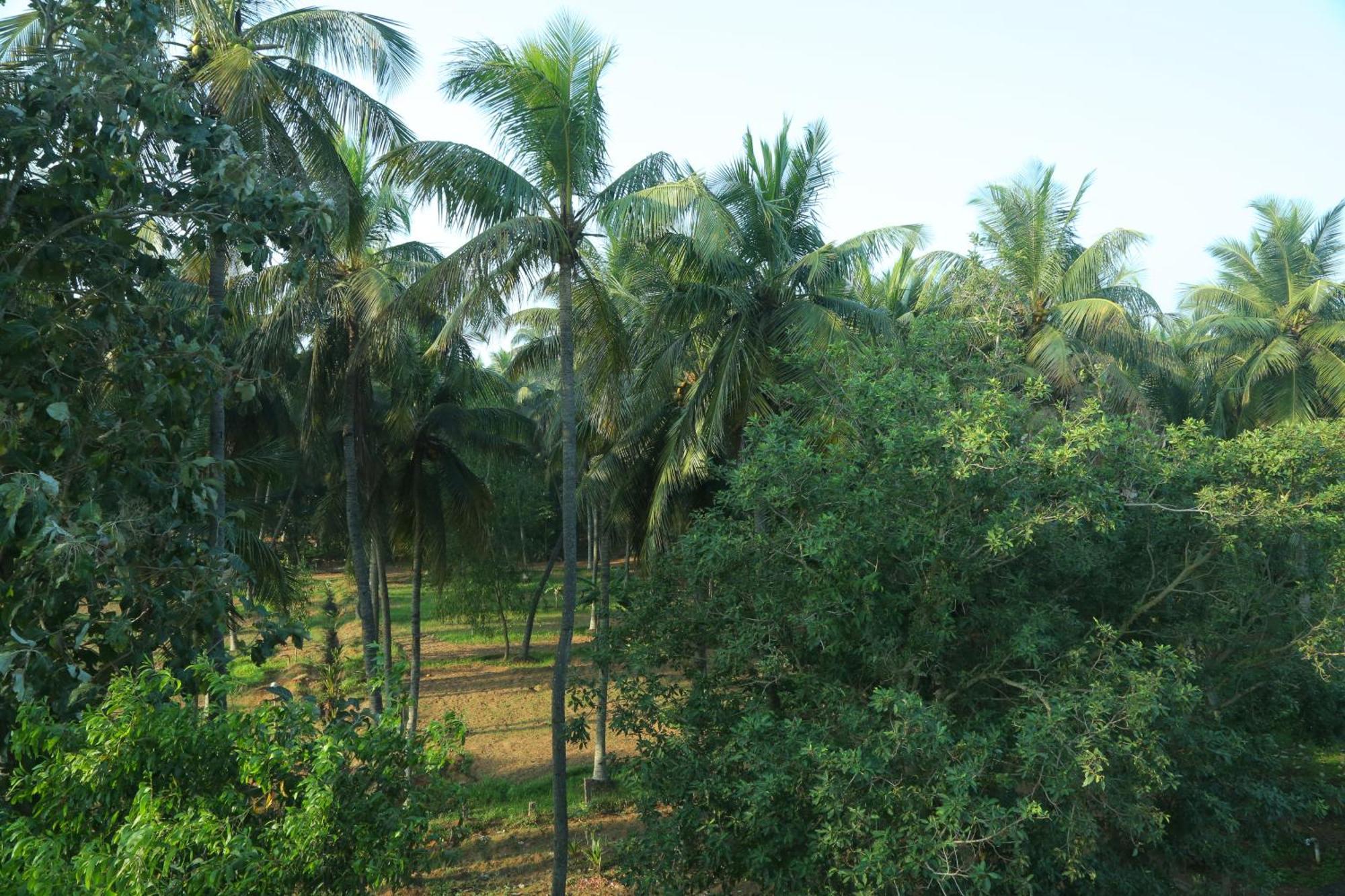 Misty Ocean - A Bergamont Group Of Hotel Kuilapalayam Bagian luar foto